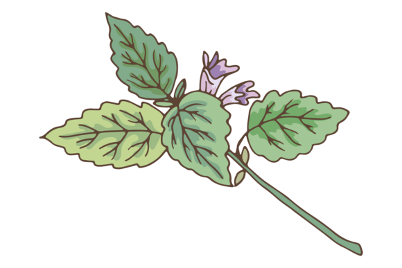 Download Green Leaves Branch with Violet Flower - Branch Collection