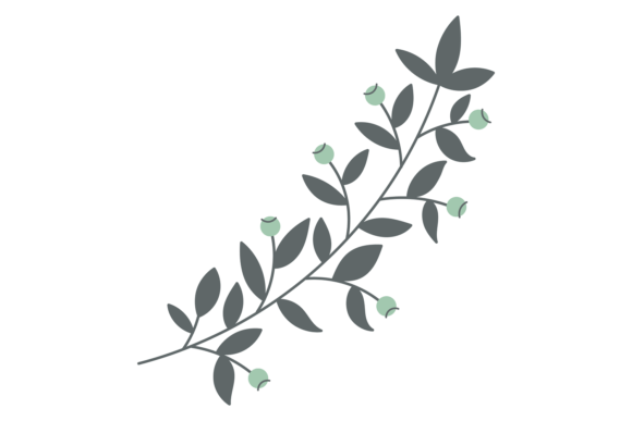 Download Botanical Design Element. Floral Elegant - Element Collection