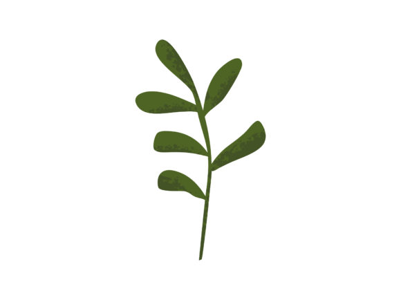 Download Leaves Decorative Elements Illustration - Element Collection